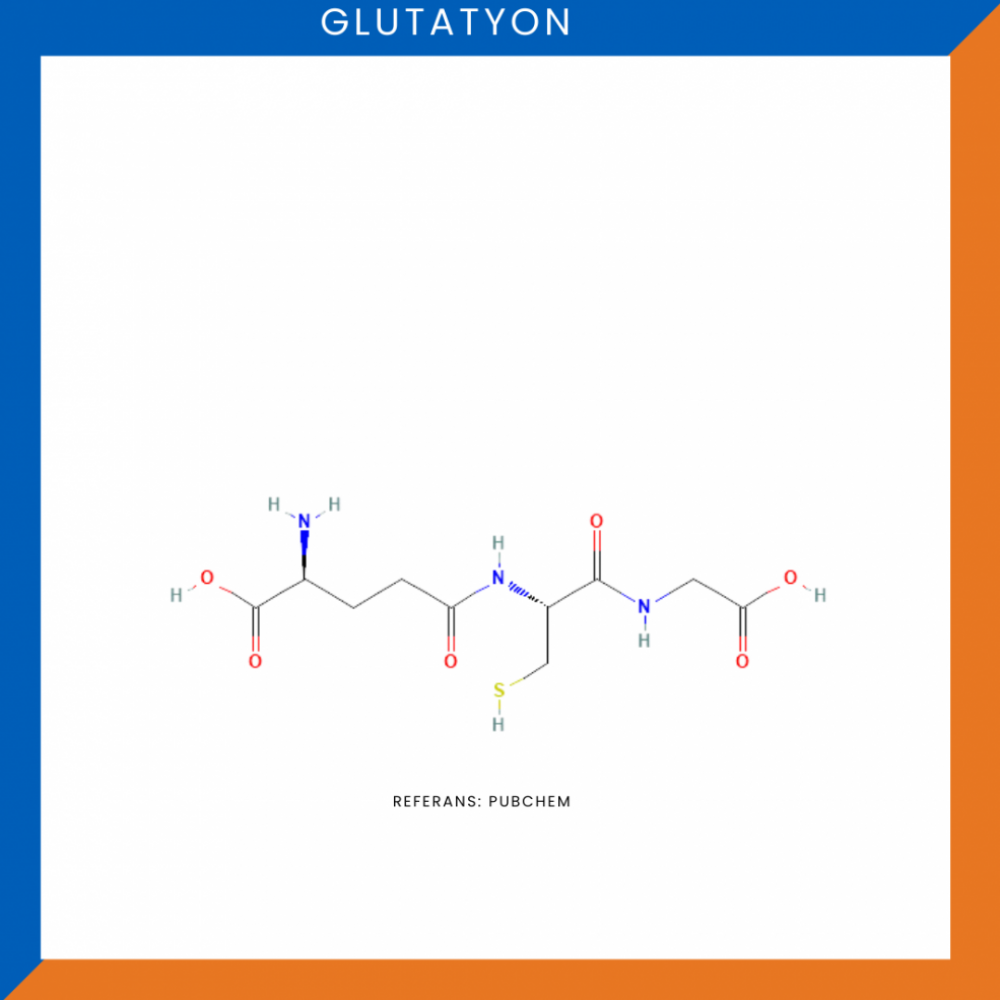 Glutatyon Peptidi